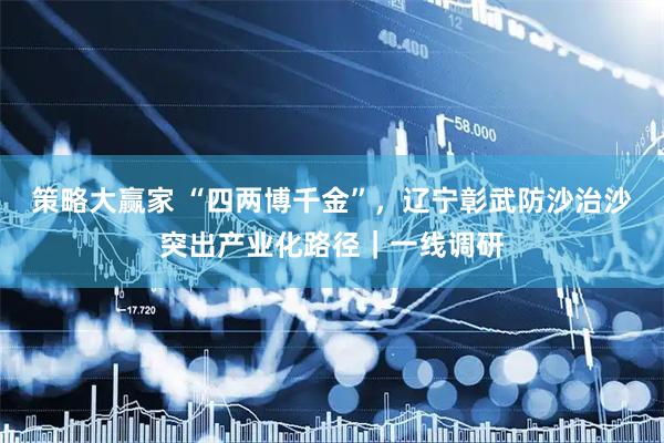 策略大赢家 “四两博千金”，辽宁彰武防沙治沙突出产业化路径｜一线调研