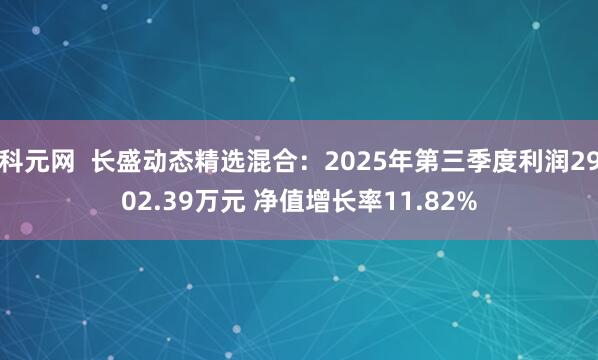 科元网  长盛动态精选混合：2025年第三季度利润2902.39万元 净值增长率11.82%