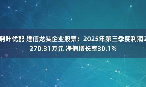 荆叶优配 建信龙头企业股票：2025年第三季度利润2270.31万元 净值增长率30.1%