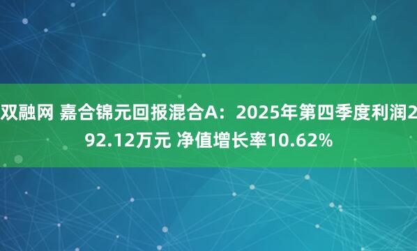 双融网 嘉合锦元回报混合A：2025年第四季度利润292.12万元 净值增长率10.62%